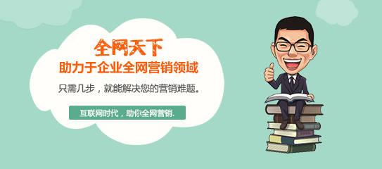 什么叫网络营销推广 (什么叫网络营销推广方式)
