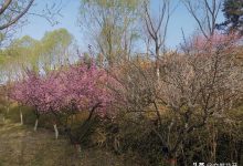 如何进行产品宣传 (如何做好产品宣传工作)-广州seo小雨