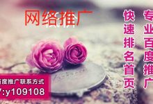 怎样做推广网络 (怎么样做网络推广)-广州seo小雨