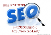seo研究 (seo研究中心qq群)-广州seo小雨