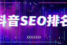 爱排名seo (什么动物最可爱排名)-广州seo小雨